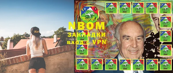 прущие грибы Беломорск