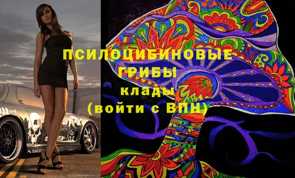 ПСИЛОЦИБИНОВЫЕ ГРИБЫ Белоозёрский