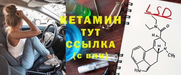 прущие грибы Беломорск