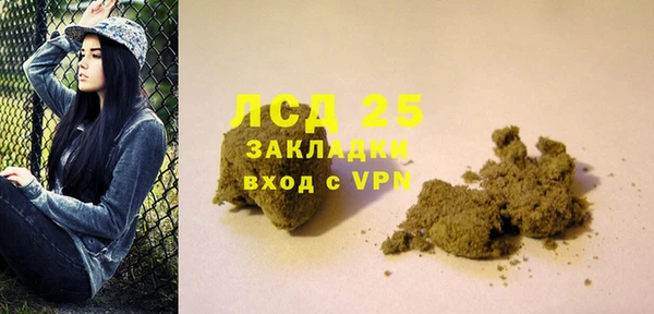 прущие грибы Беломорск