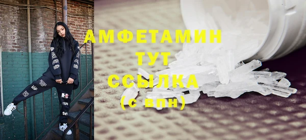 прущие грибы Беломорск