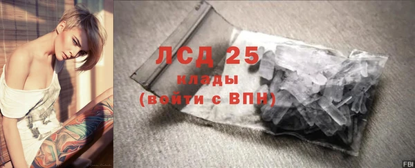 ПСИЛОЦИБИНОВЫЕ ГРИБЫ Белоозёрский